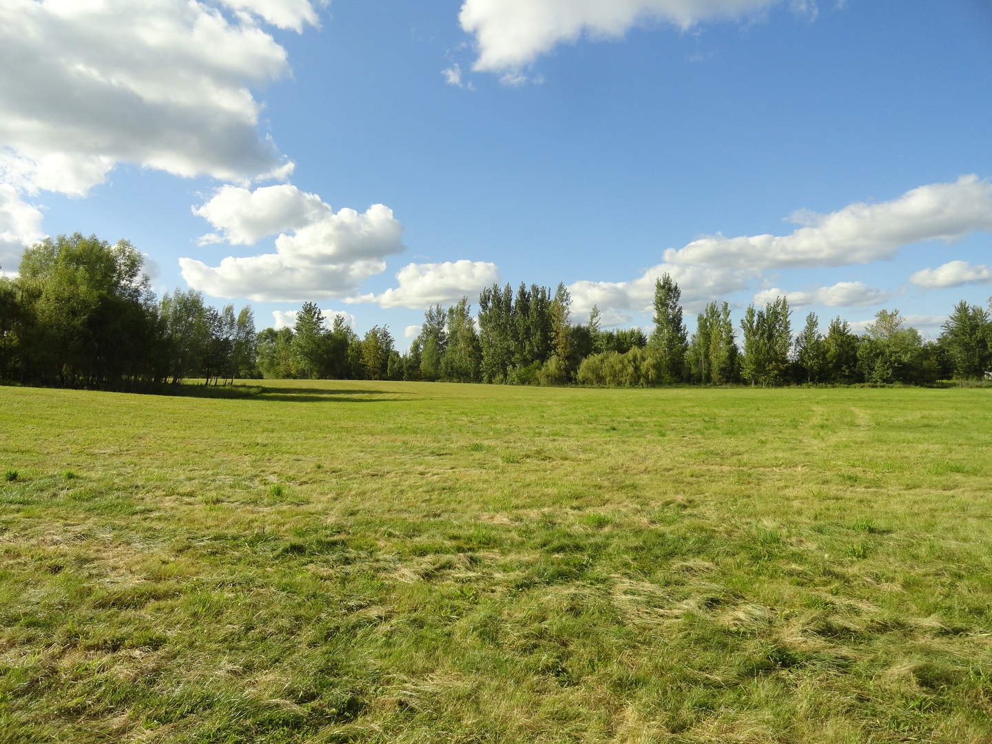 18250 Malvern Road Morrison, IL 61270 - Photo 17 of 38 a view of yard with swimming pool and green space