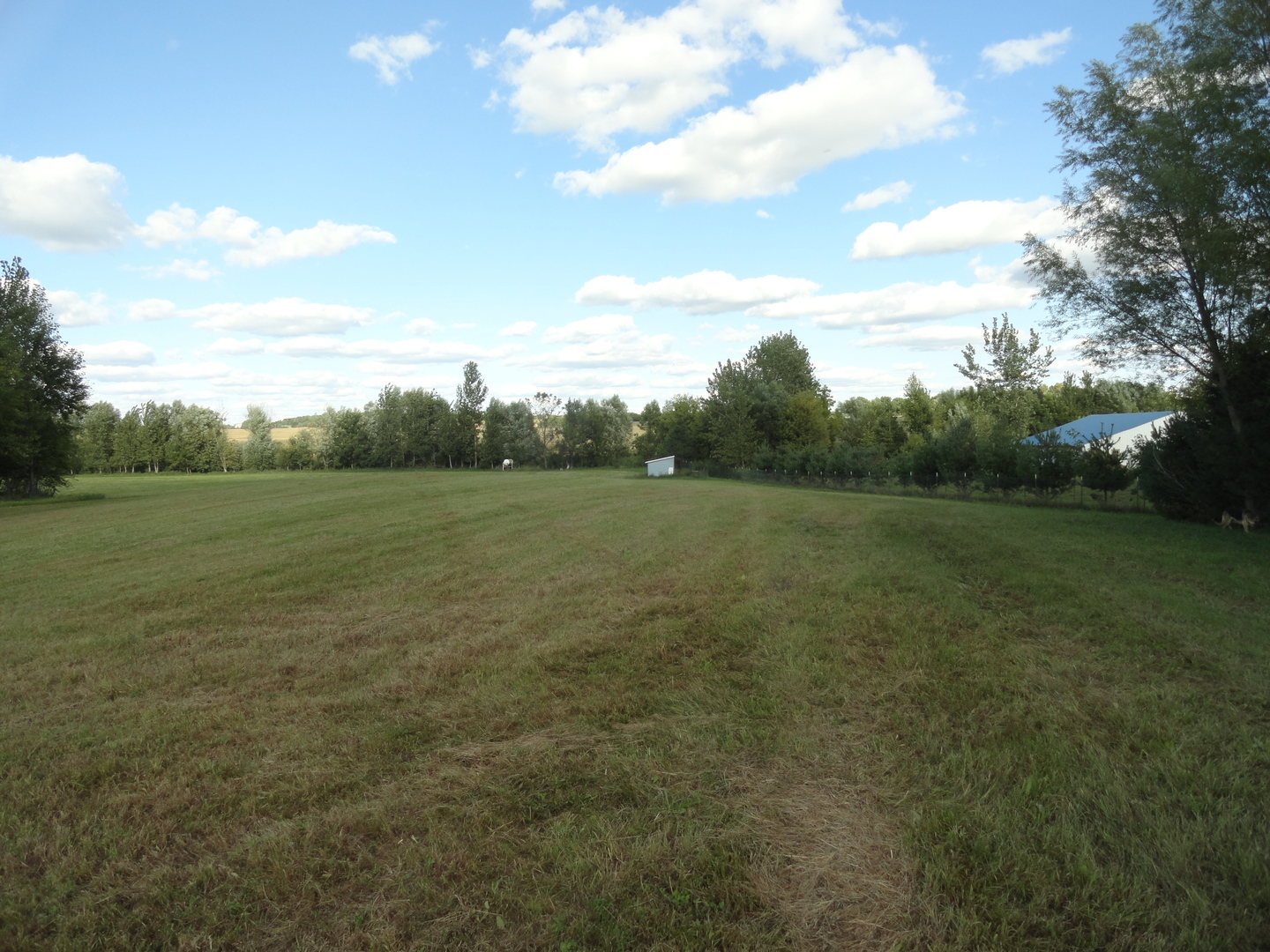 18250 Malvern Road Morrison, IL 61270 - Photo 18 of 38 a view of a field with trees in background