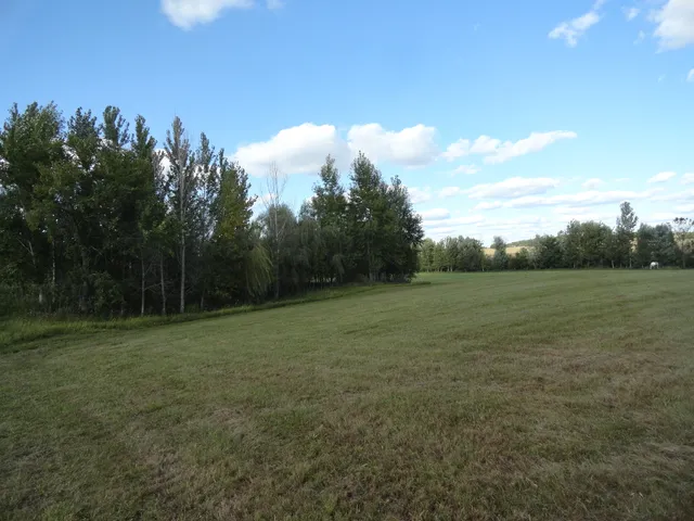 a view of a field with trees in background