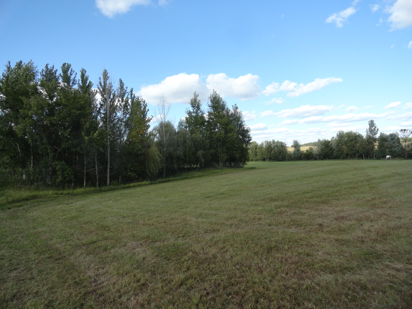 18250 Malvern Road Morrison, IL 61270 - Photo 19 of 38 a view of a field with trees in background