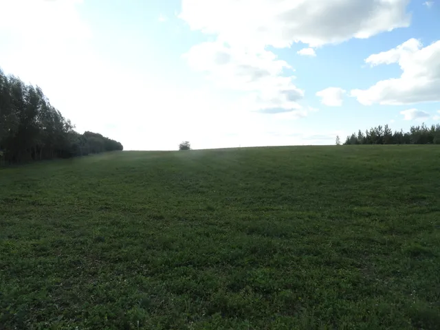 a view of a field with an ocean