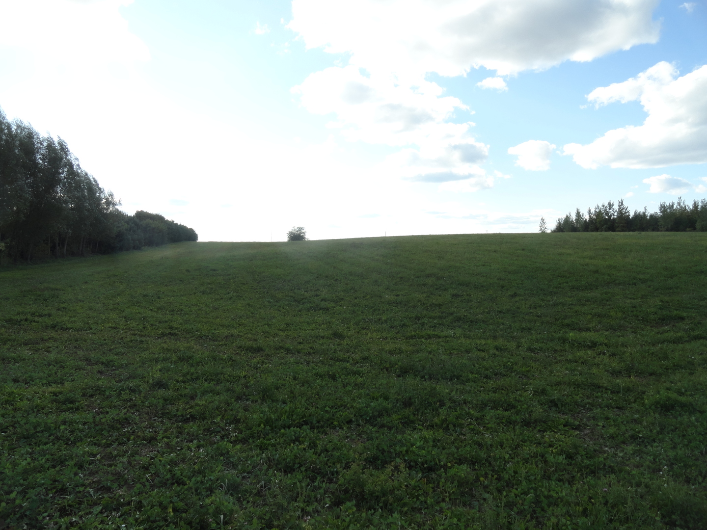 18250 Malvern Road Morrison, IL 61270 - Photo 20 of 38 a view of a field with an ocean