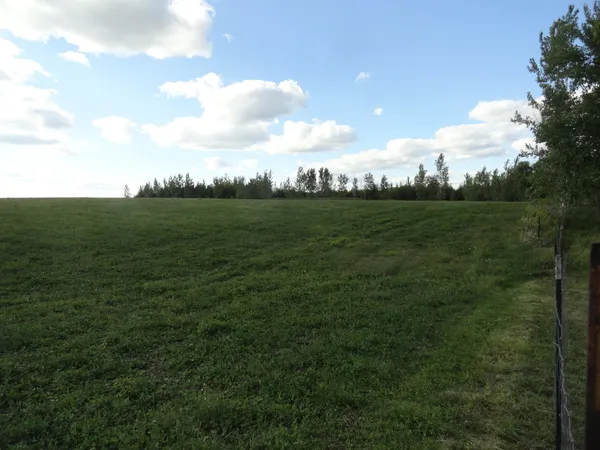 a backyard of a house with lots of green space and trees