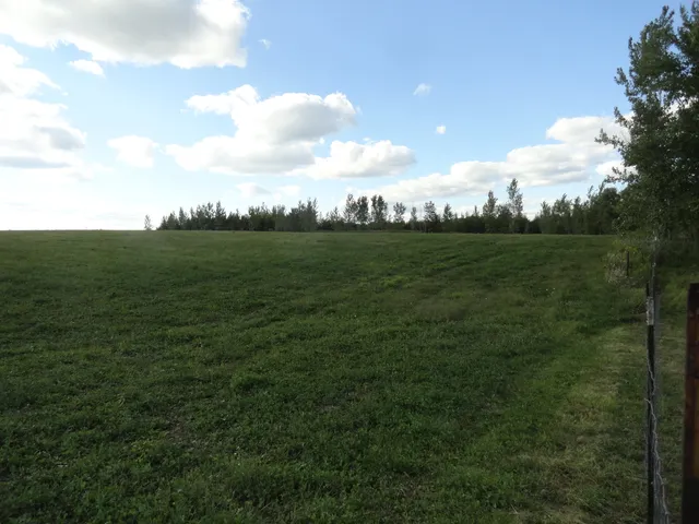 a backyard of a house with lots of green space and trees