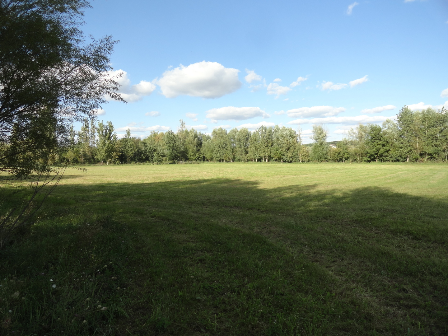 18250 Malvern Road Morrison, IL 61270 - Photo 24 of 38 a view of outdoor space with green field and trees all around