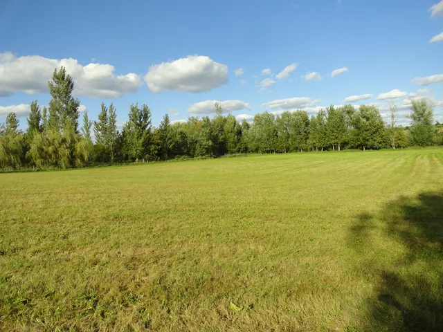 a view of a green field with trees in the background