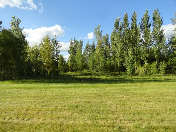 a view of a lake with a yard