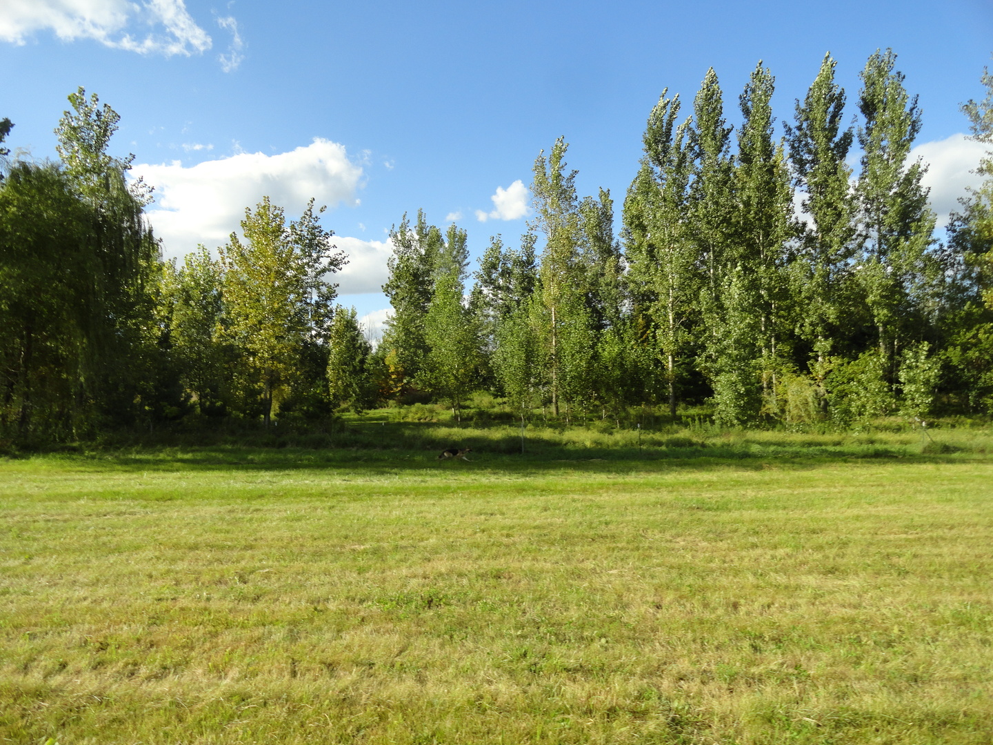 18250 Malvern Road Morrison, IL 61270 - Photo 28 of 38 a view of a yard