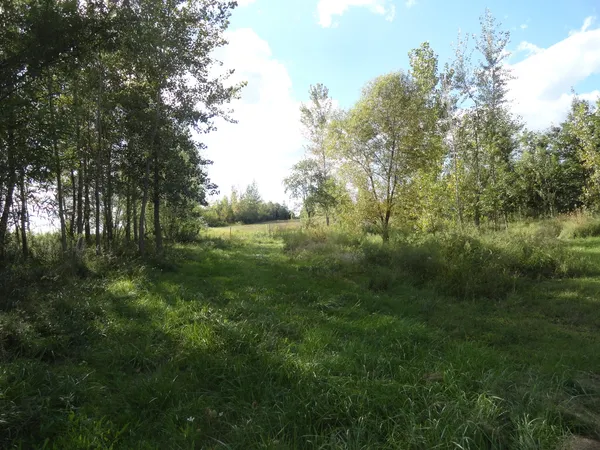 a view of outdoor space and green field