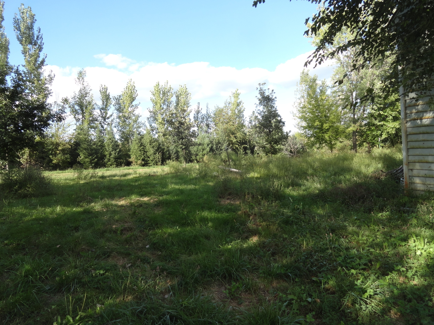 18250 Malvern Road Morrison, IL 61270 - Photo 31 of 38 a view of outdoor space and green field