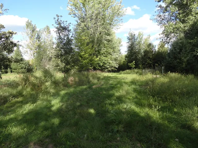 a view of a big yard with lots of green space