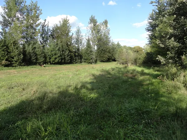 a view of a field with an trees