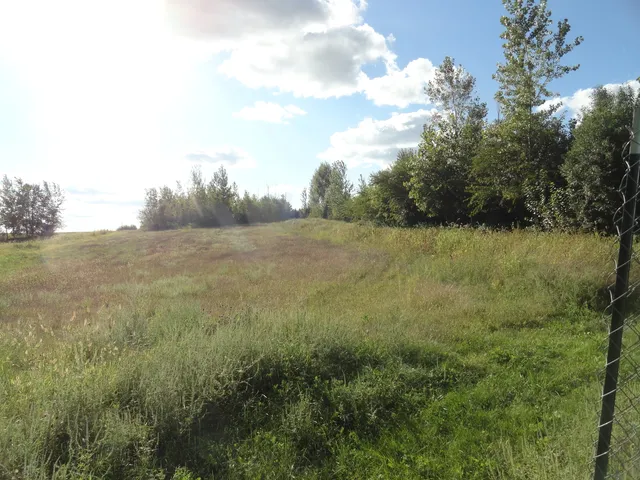 a view of a field with an trees