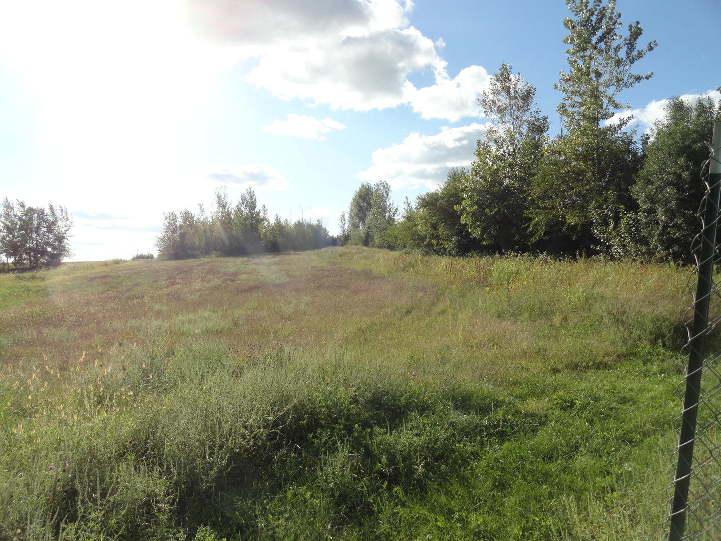 18250 Malvern Road Morrison, IL 61270 - Photo 34 of 38 a view of a field with an trees