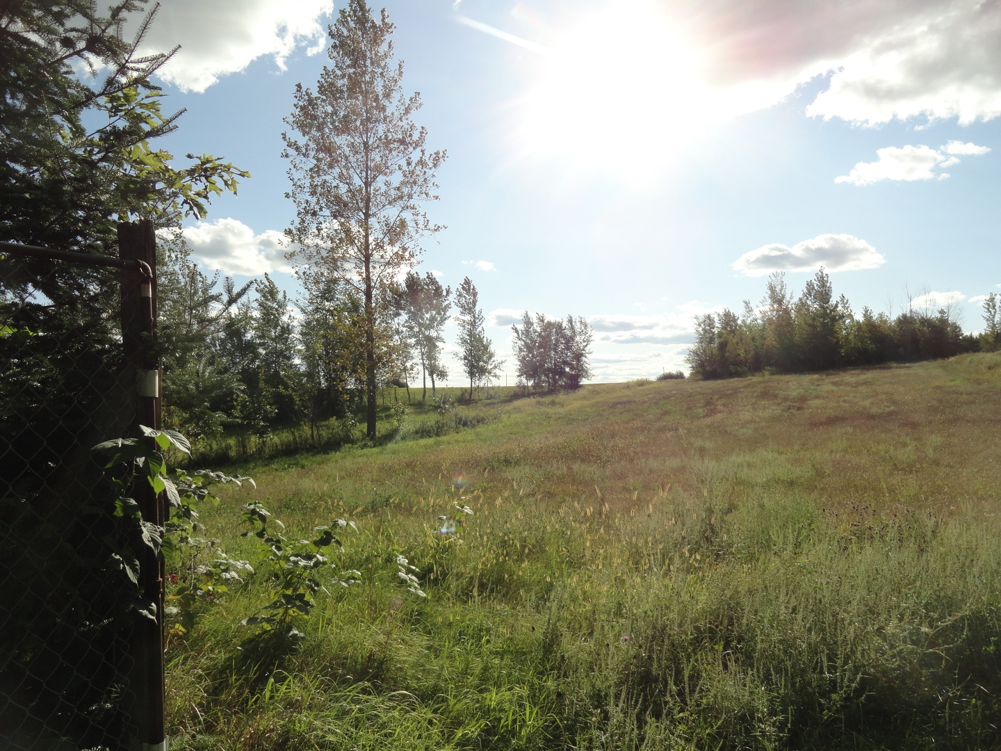 18250 Malvern Road Morrison, IL 61270 - Photo 35 of 38 a view of a field with an trees