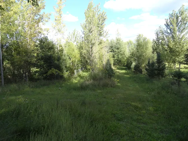 a view of an ocean and a yard