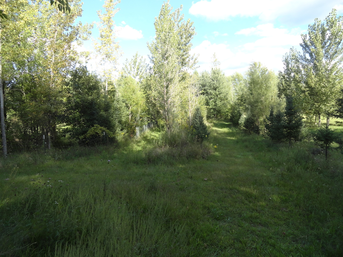 18250 Malvern Road Morrison, IL 61270 - Photo 37 of 38 a view of a lush green space