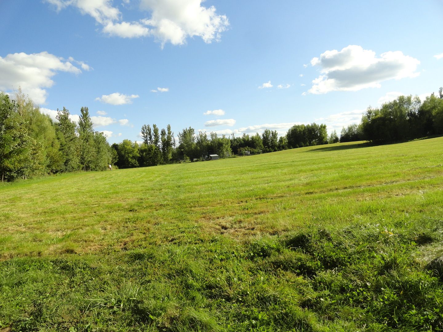 18250 Malvern Road Morrison, IL 61270 - Photo 38 of 38 a view of an ocean and a yard
