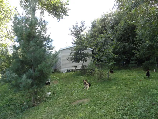 a view of a green field with lots of bushes