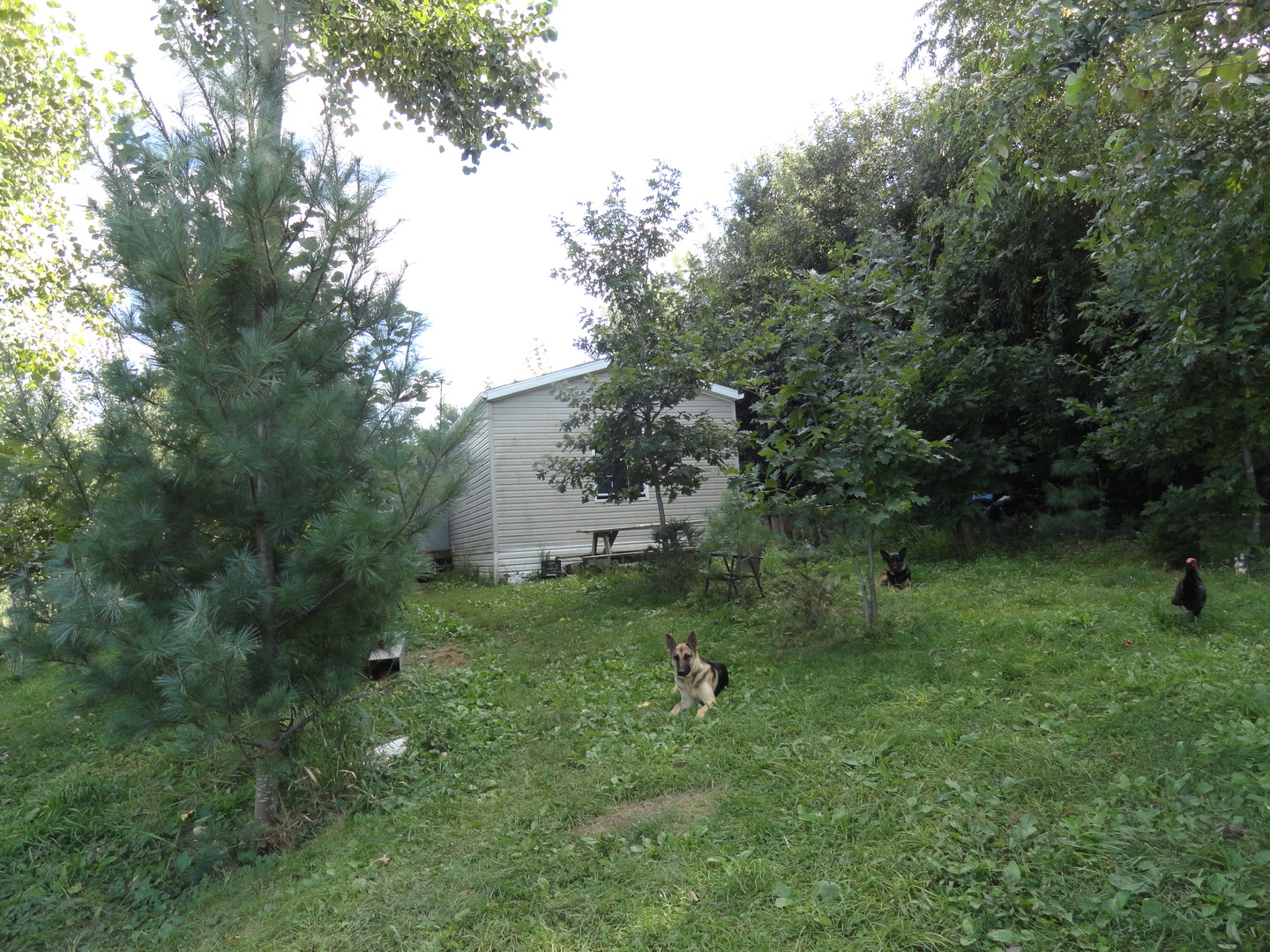 18250 Malvern Road Morrison, IL 61270 - Photo 5 of 38 a view of a green field with lots of bushes