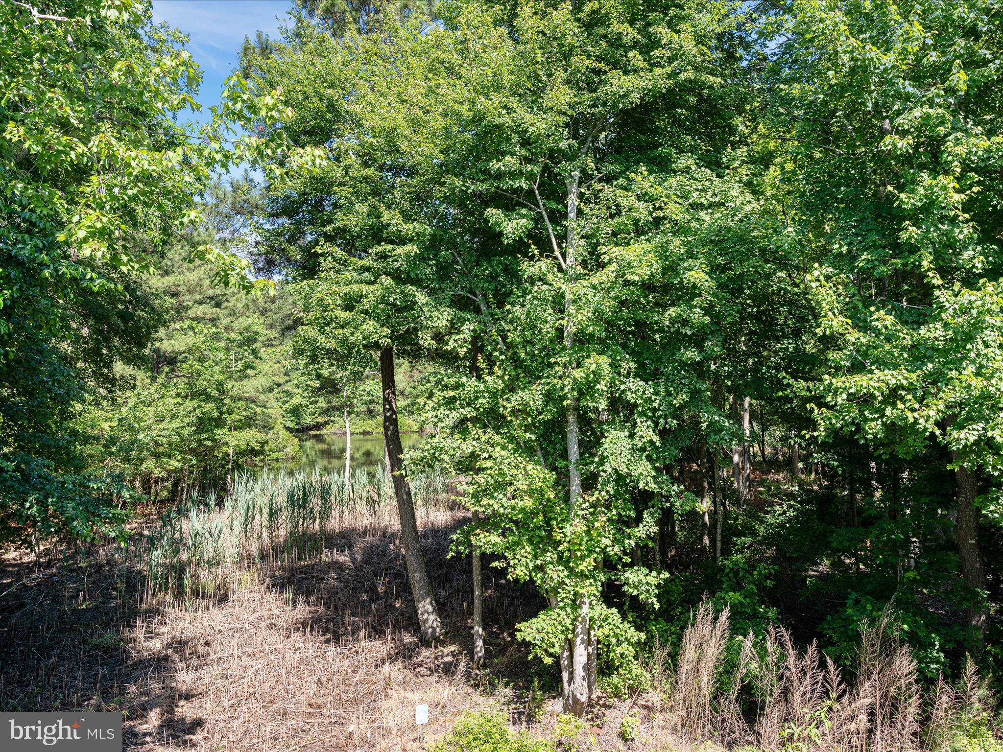 734 Deer Leap Drive, Unit 4 Bethany Beach, DE 19930 - Photo 27 of 53 Pond view