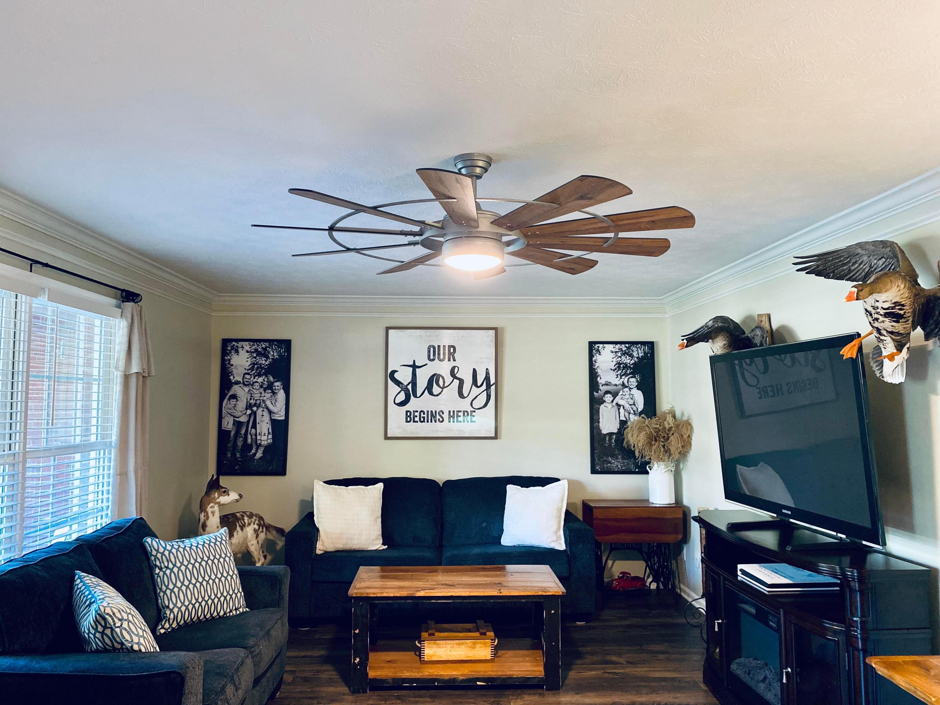 2075 Guynn Road Paint Lick, KY 40461 - Photo 6 of 56 308870315_783481596066038_62483935741870