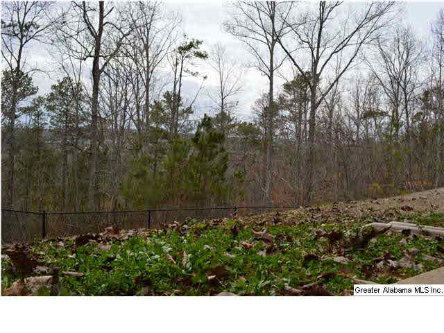 669 Levine Road Odenville, AL 35120 - Photo 20 of 20