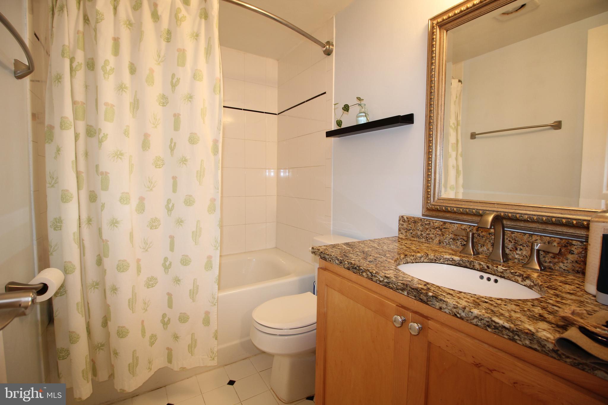 2630 Adams Mill Road Northwest, Unit 108 Washington, DC 20009 - Photo 10 of 16 Updated vanity