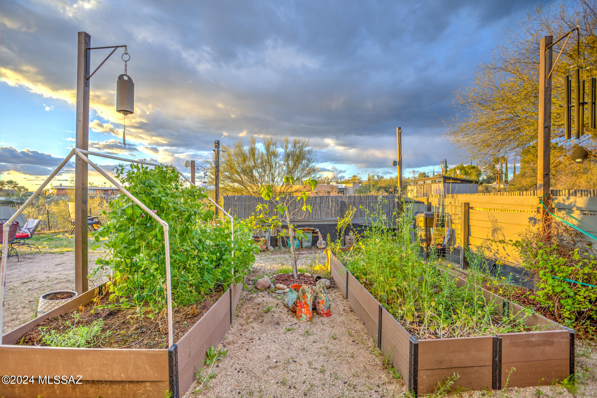 800 West Roller Coaster Road Tucson, AZ 85704 - Photo 8 of 50 Gallery Image 8