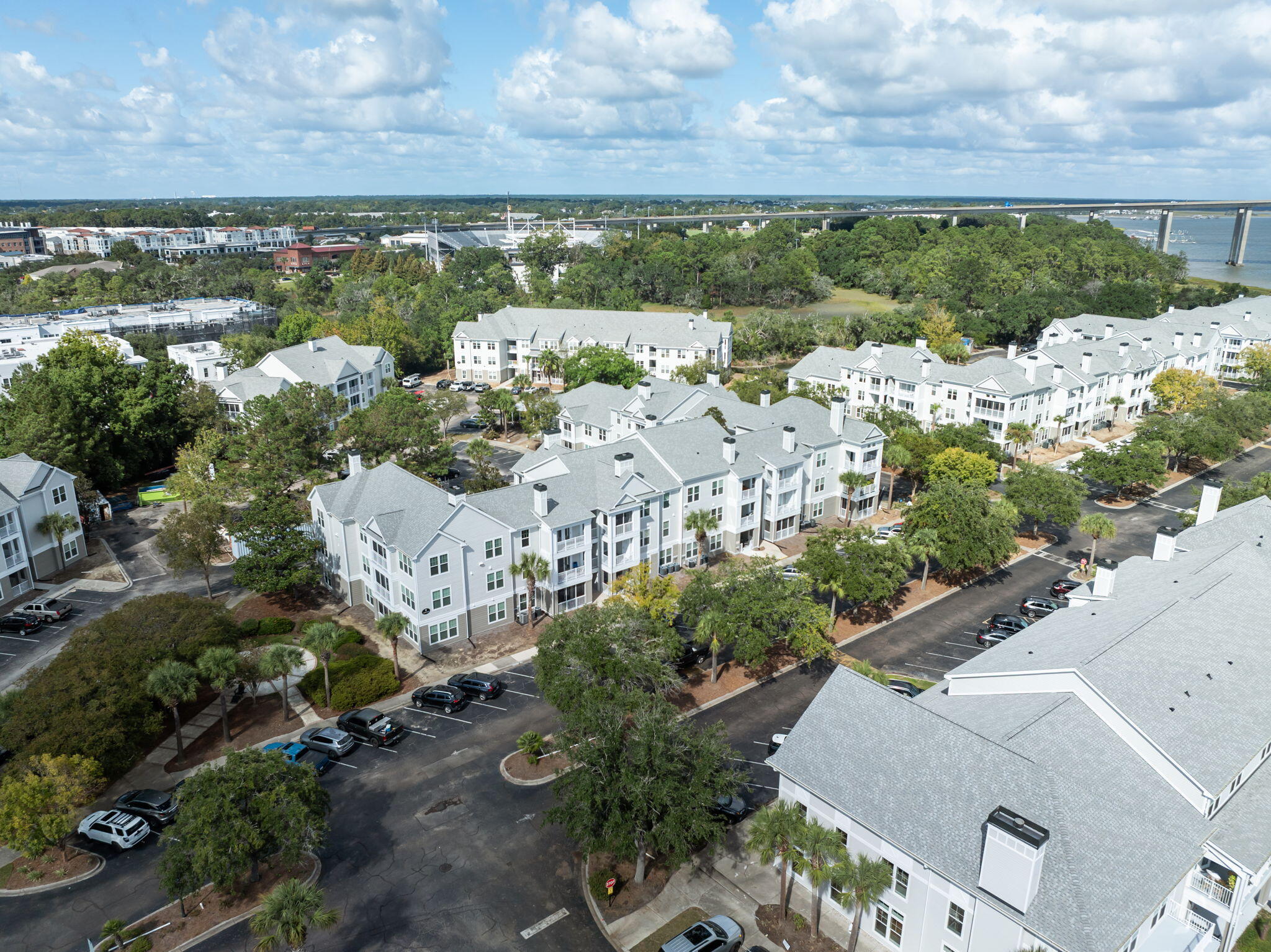 130 River Landing Drive, Unit 9203 Charleston, SC 29492 - Photo 2 of 34 10-web-or-mls-DJI_0778