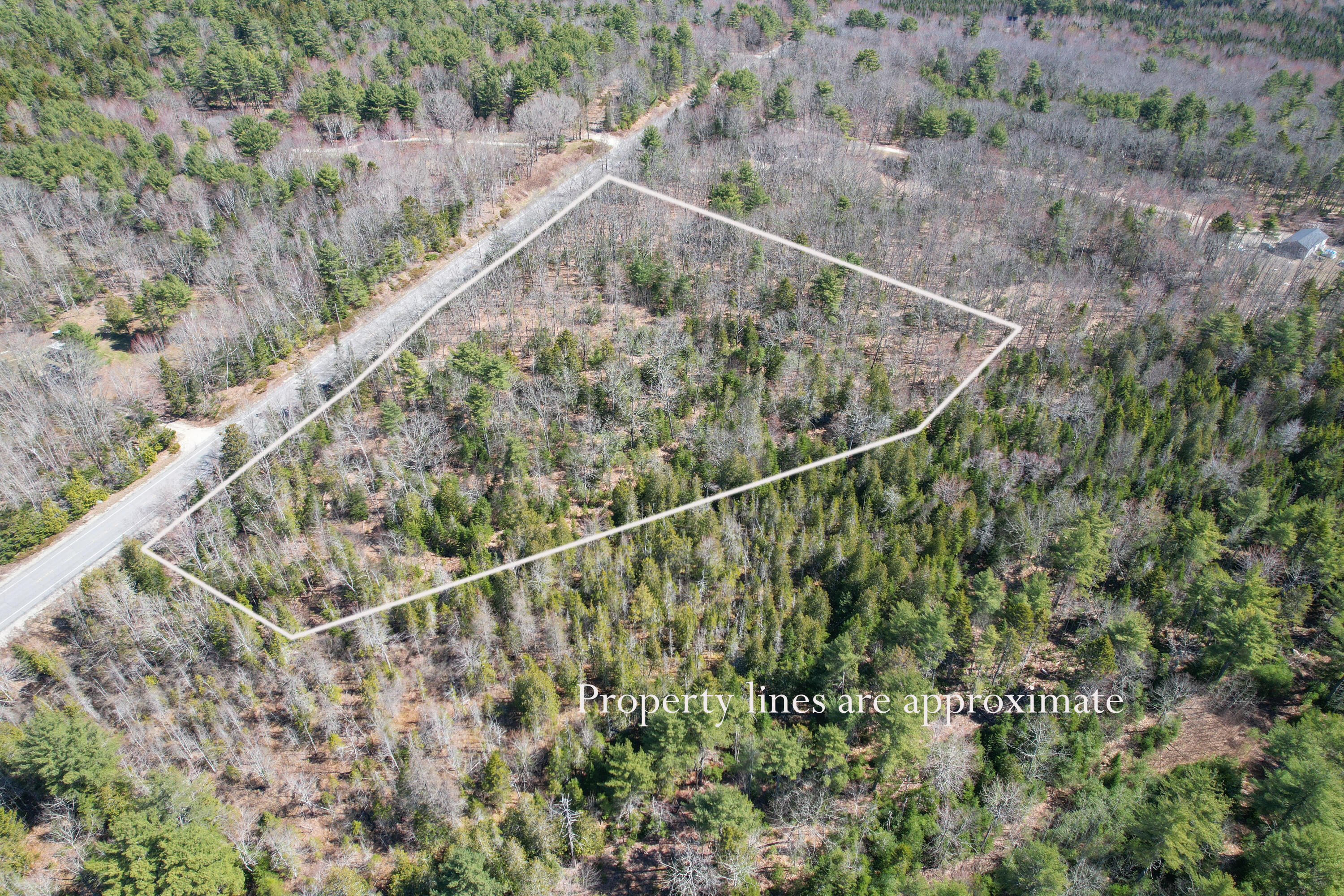 4 Blackswoods Road Franklin, ME 04634 - Photo 5 of 19 Property lines 3