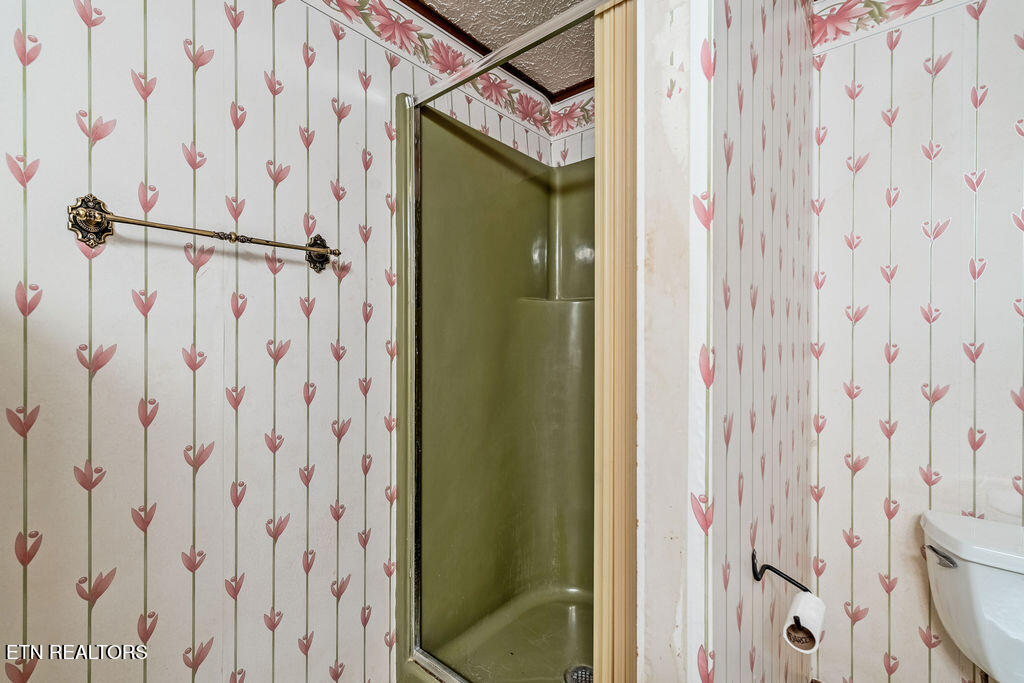 1218 Hitch Road Maryville, TN 37804 - Photo 36 of 48 Basement Full Bath / Laundry Room