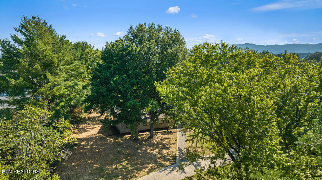 1218 Hitch Road Maryville, TN 37804 - Photo 5 of 48 Aerial