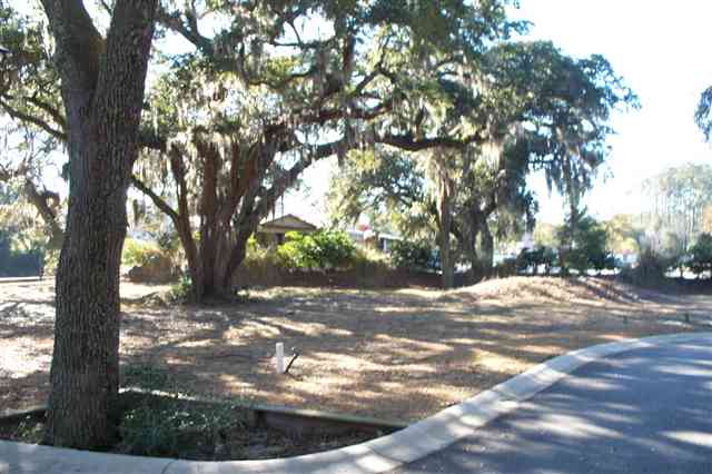 Lot 12 Flagg Street Murrells Inlet, SC 29576 - Photo 5 of 8 Gallery Image 5