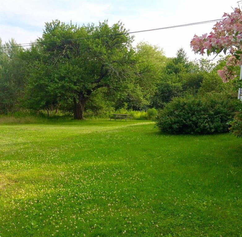 143 Tremont Road Bass Harbor, ME 04653 - Photo 28 of 29 Front lawn / yard. Open, flat, and...