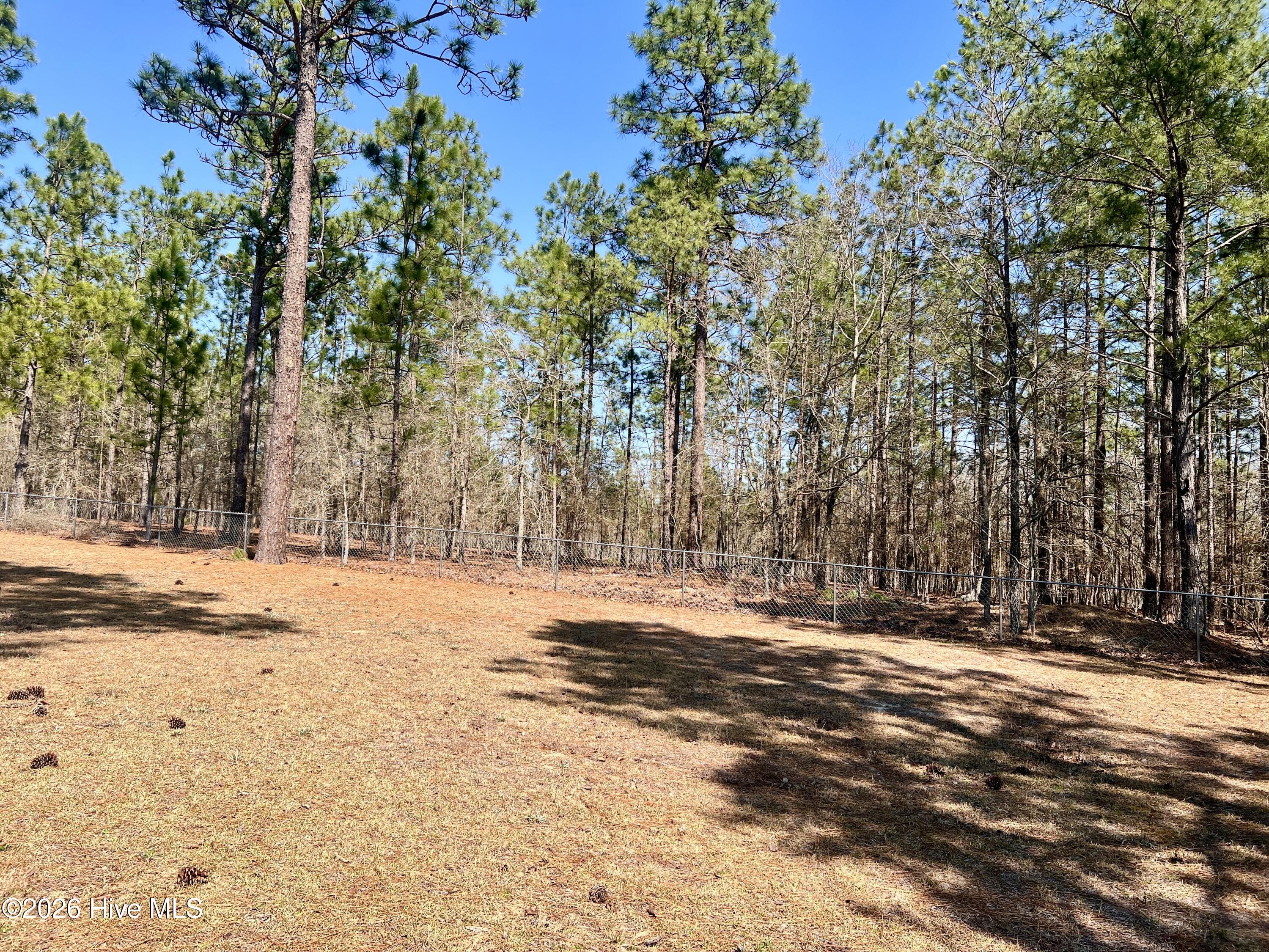 367 Ellerbe Grove Church Road Rockingham, NC 28379 - Photo 6 of 26 IMG_0403