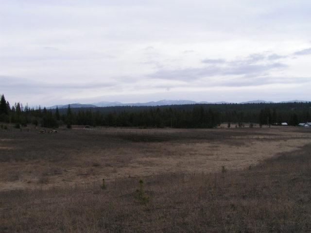 Lot F Lillijard Road Newport, WA 99156 - Photo 2 of 3 Gallery Image 2