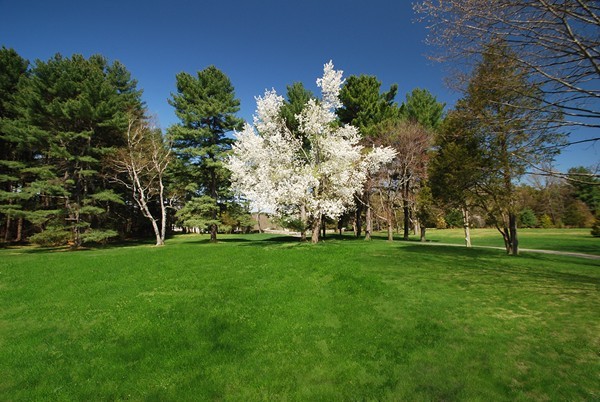 0 Barnes Hill Road Concord, MA 01742 - Photo 3 of 5 Gallery Image 3