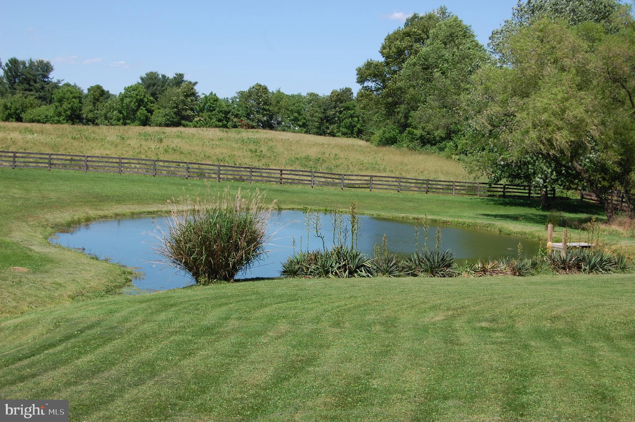 2434 Pine Tree Road Spring Grove, PA 17362 - Photo 17 of 42