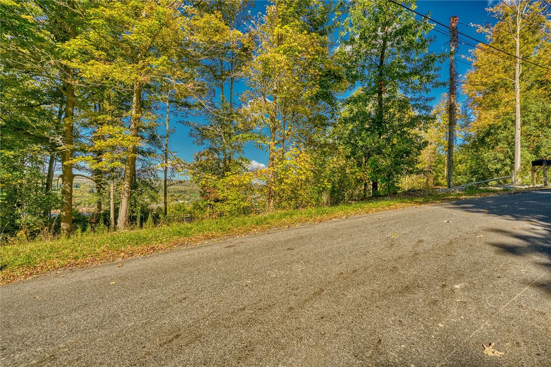 0 Esperanza Road Keuka Park, NY 14478 - Photo 5 of 18