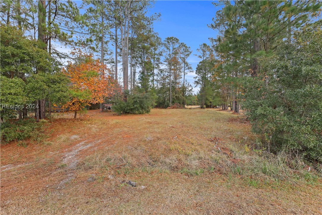 201 Graham Hall South Ridgeland, SC 29936 - Photo 1 of 1