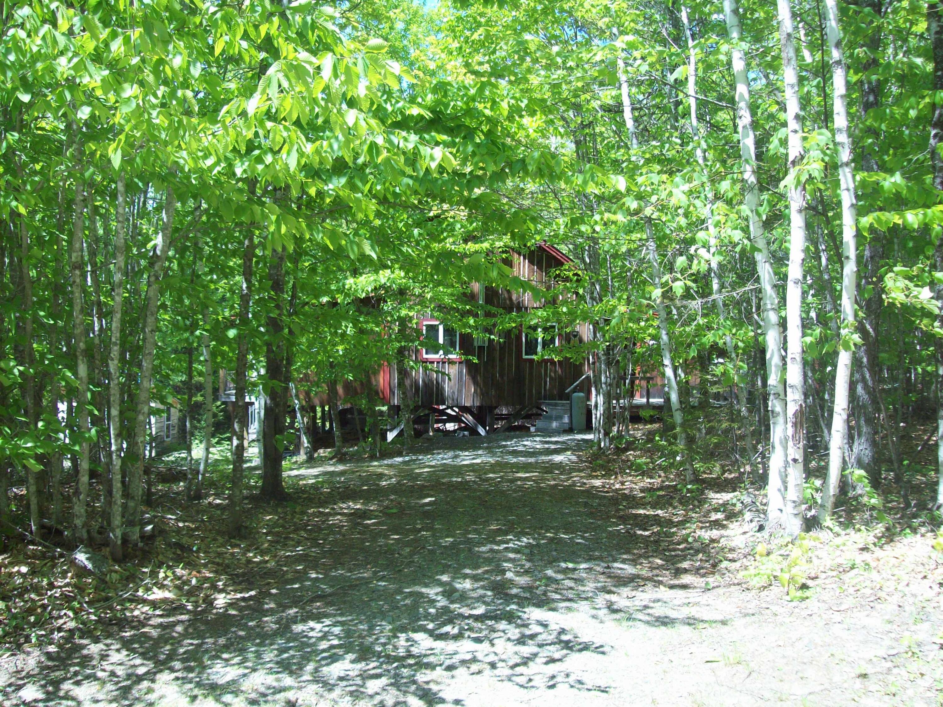 Tbd Tbd Birch Hill Road Lakeville, ME 04487 - Photo 9 of 27 100_1925