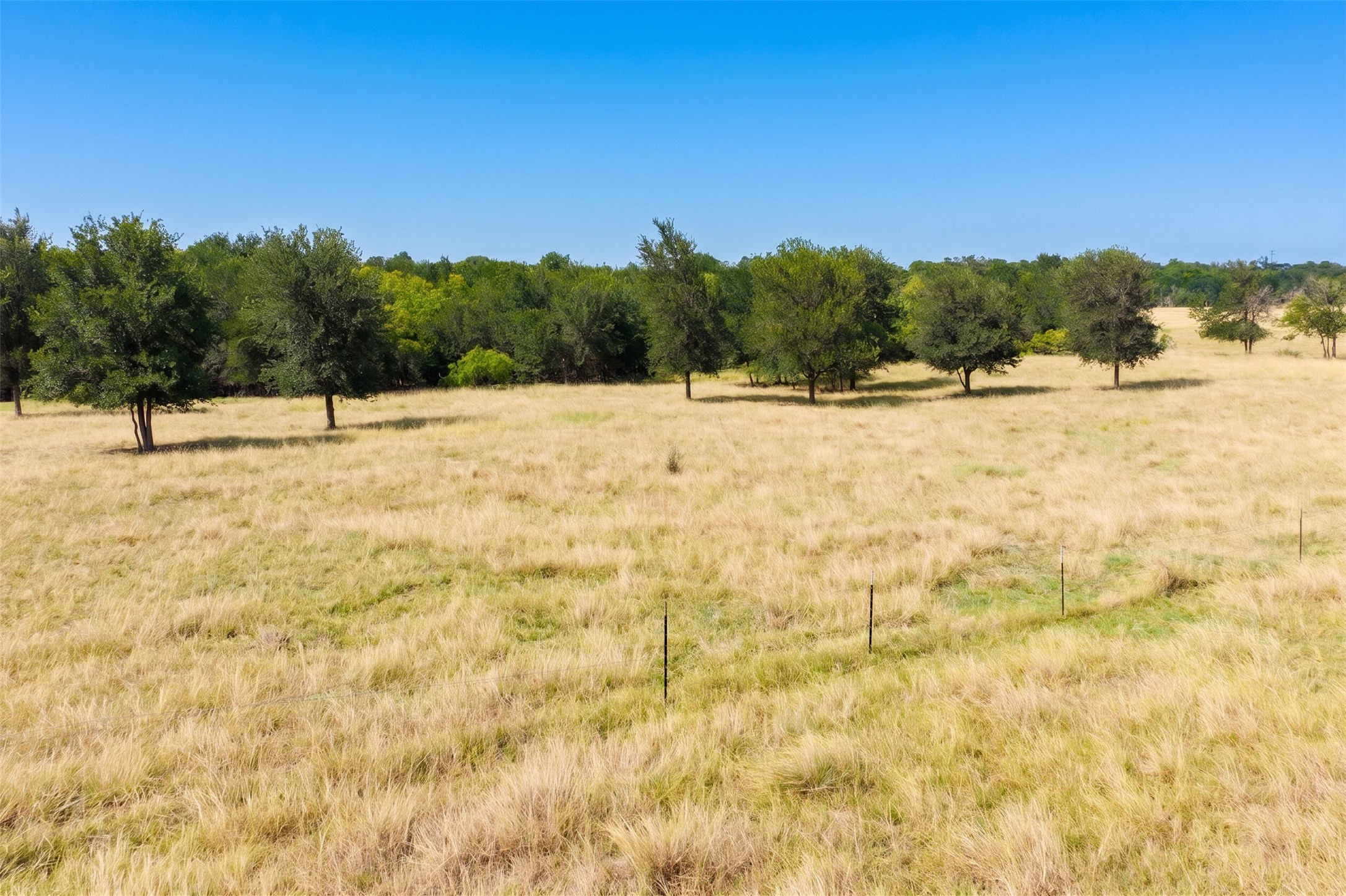 20145 Janak Road Coupland, TX 78615 - Photo 37 of 40 A tranquil, sun-drenched field offers a prime building site for a serene country escape.
