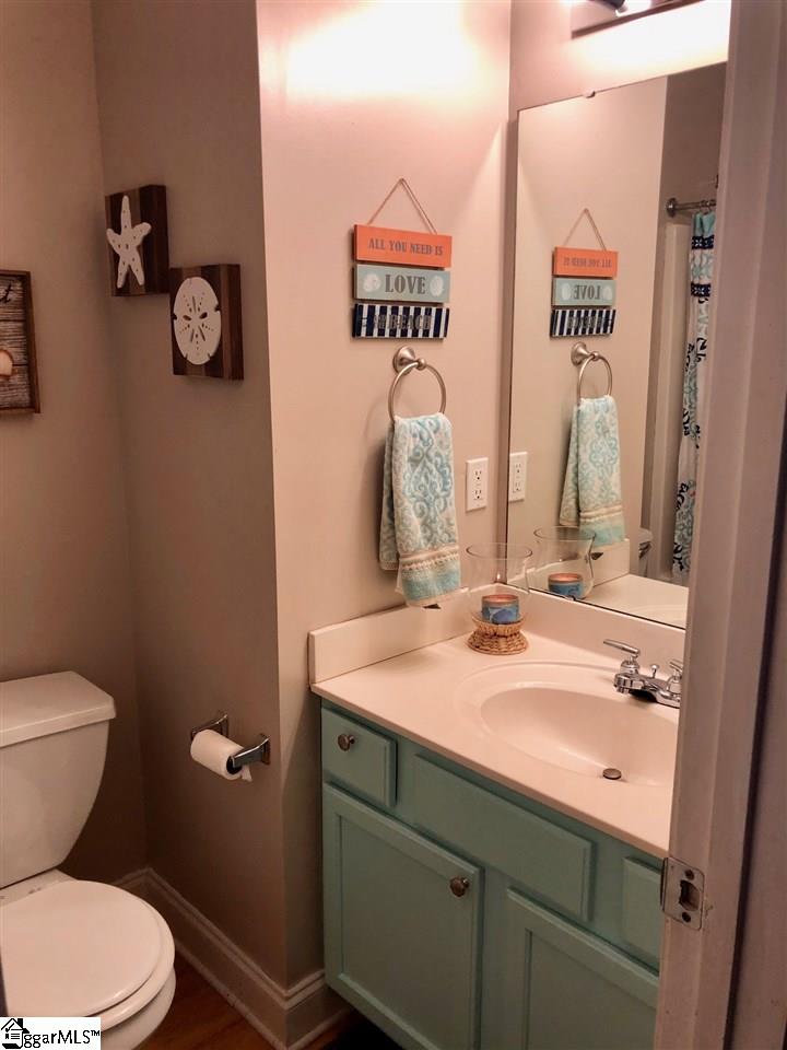 633 Banks Terrace Trail Inman, SC 29349 - Photo 13 of 29