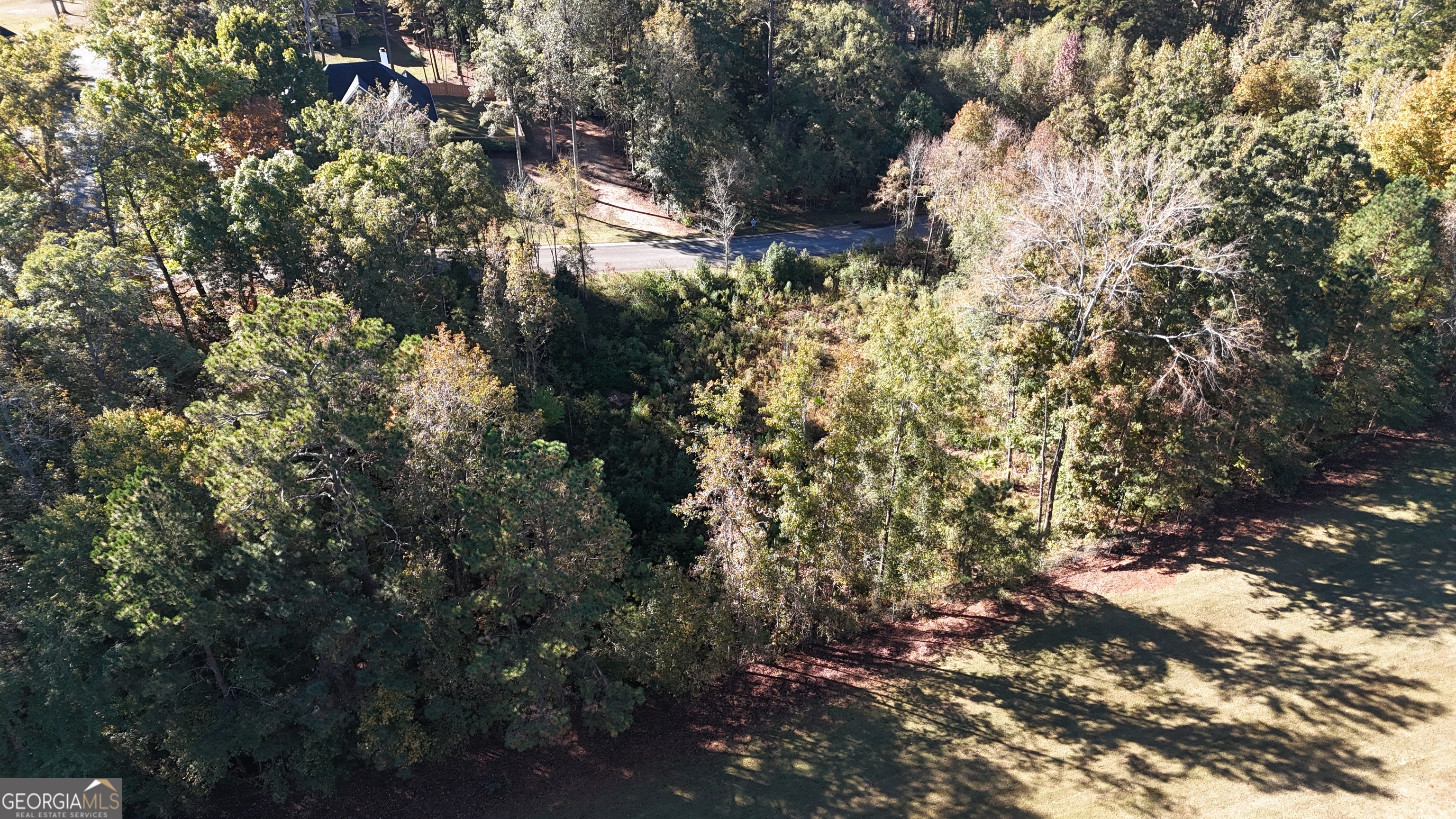 128 Greenview Terrace Macon, GA 31220 - Photo 5 of 10 a view of a tree in a yard