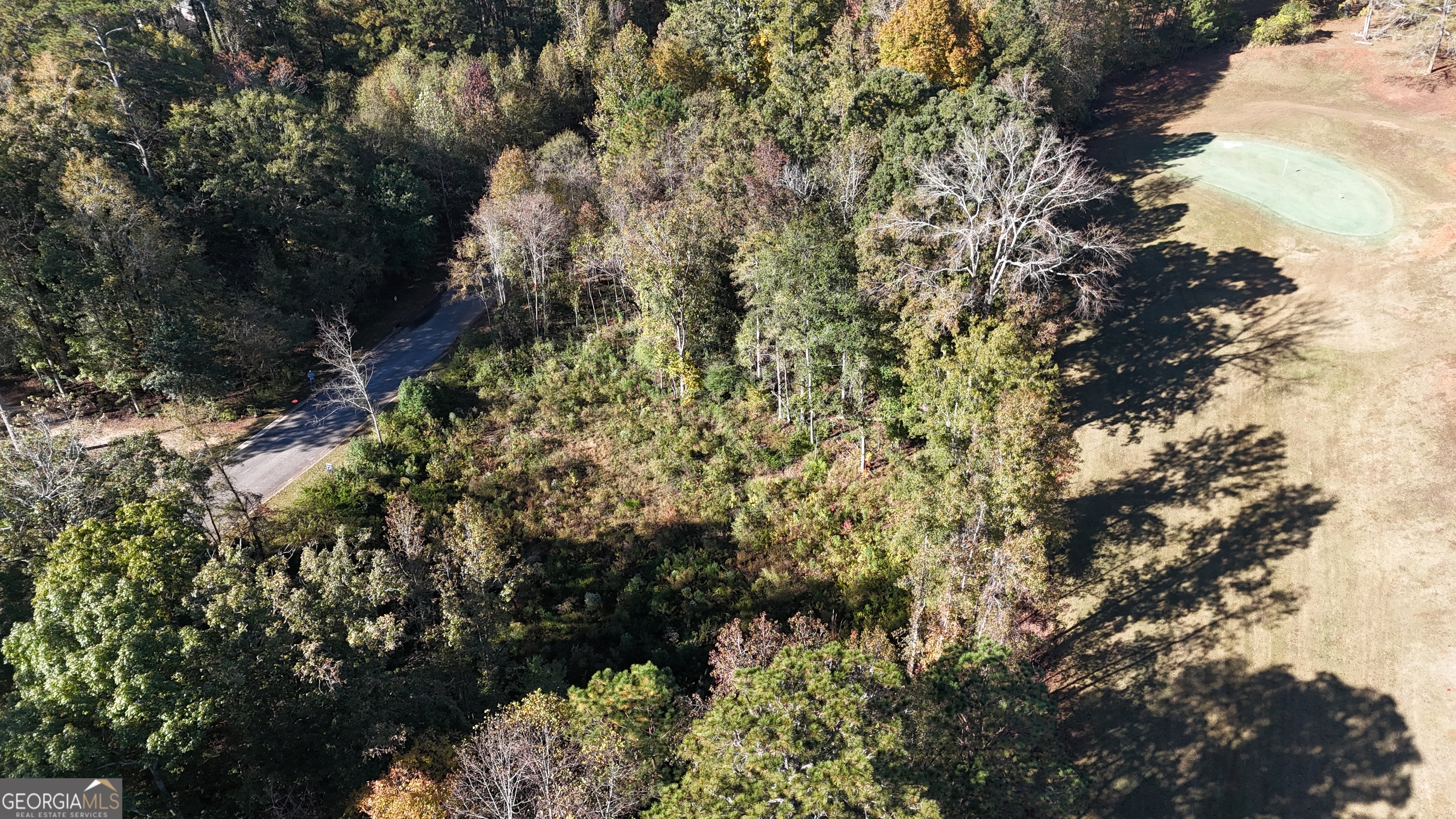 128 Greenview Terrace Macon, GA 31220 - Photo 6 of 10 a picture of trees