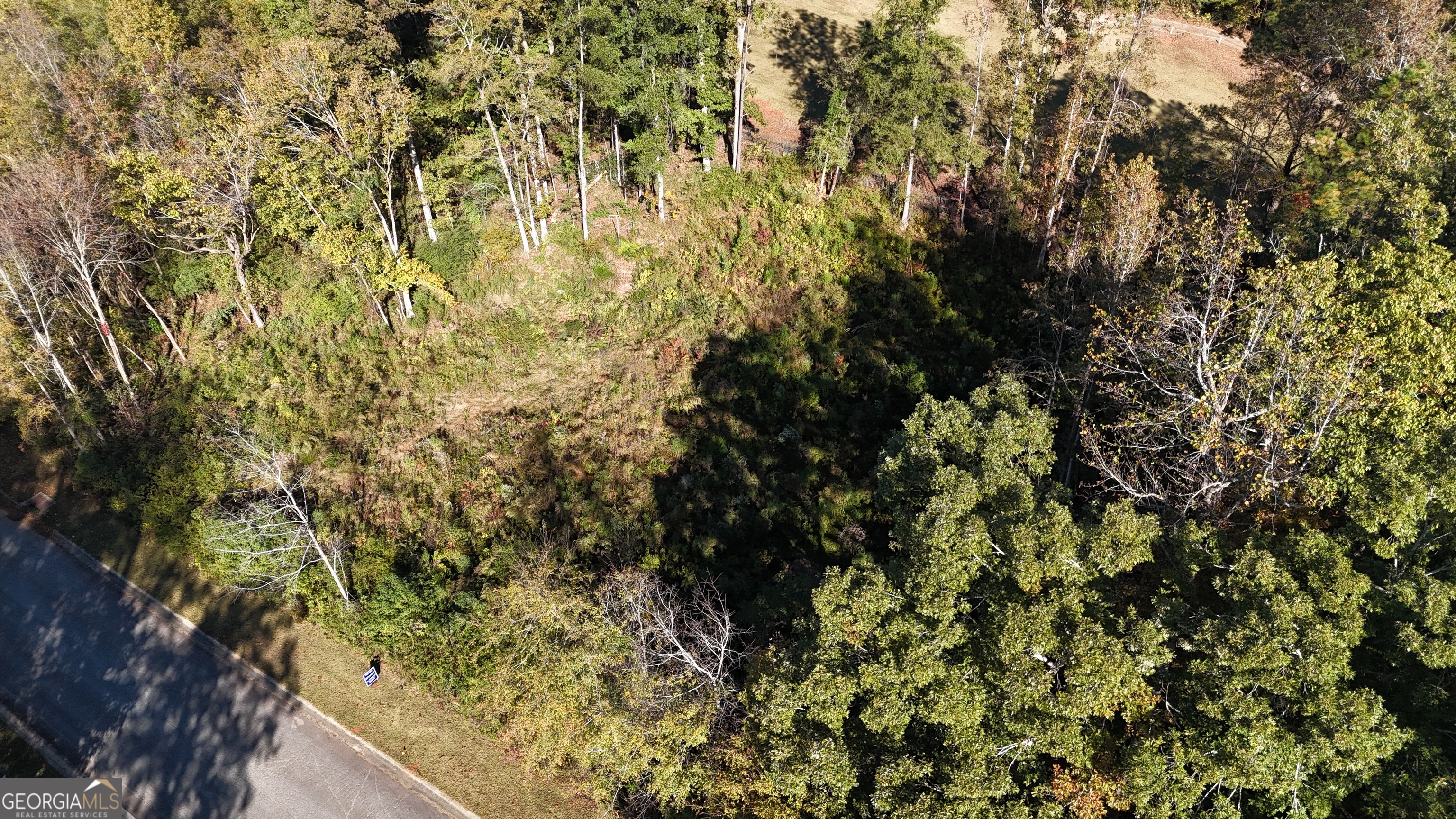 128 Greenview Terrace Macon, GA 31220 - Photo 7 of 10 a view of a tree with a tree