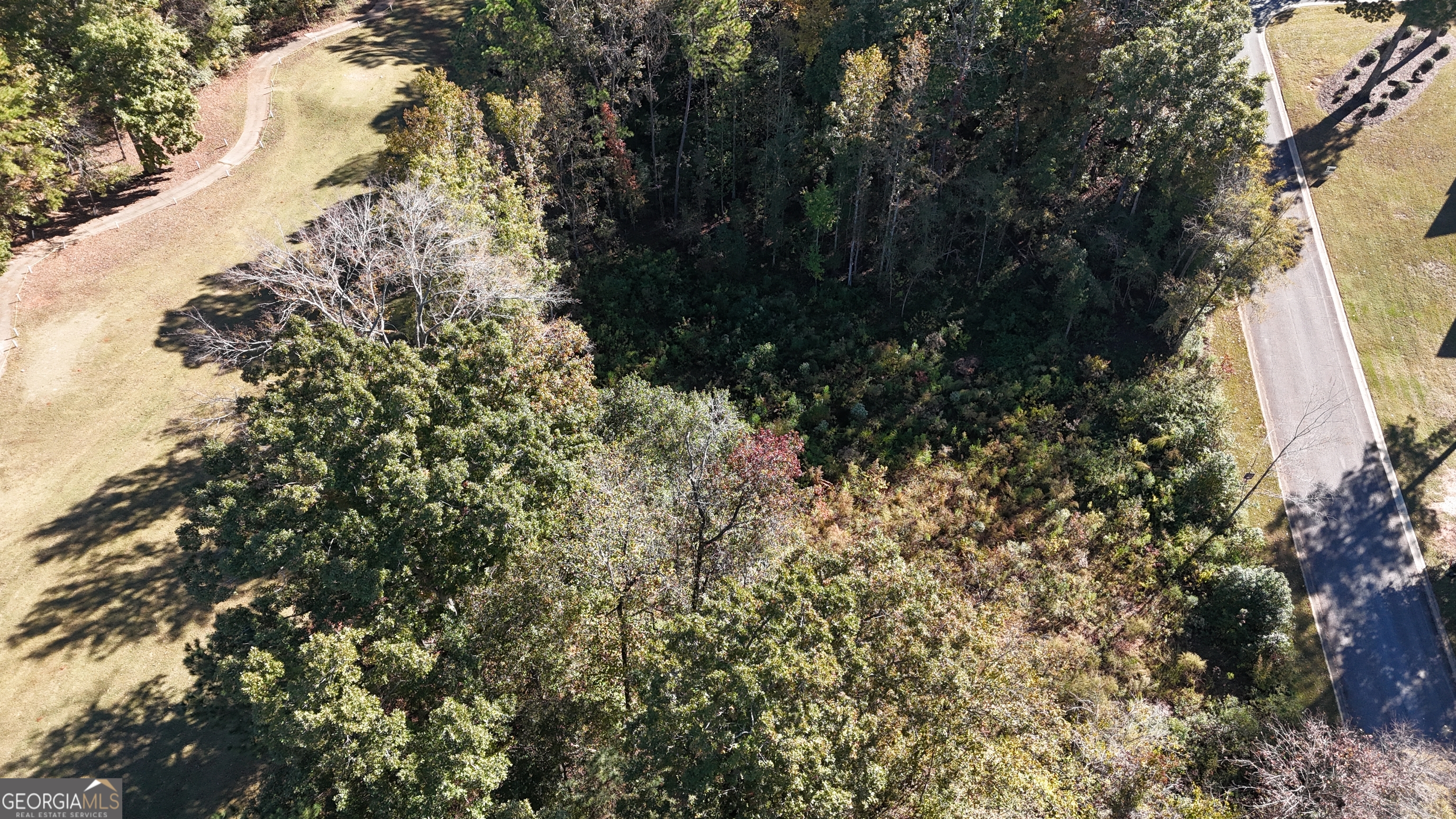 128 Greenview Terrace Macon, GA 31220 - Photo 8 of 10 a view of a tree in a yard