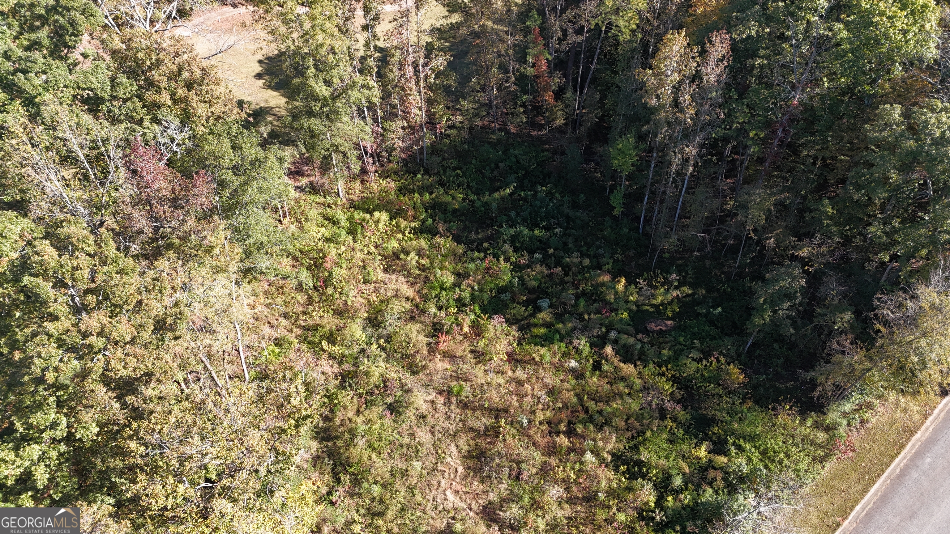 128 Greenview Terrace Macon, GA 31220 - Photo 10 of 10 a view of a yard with a plants