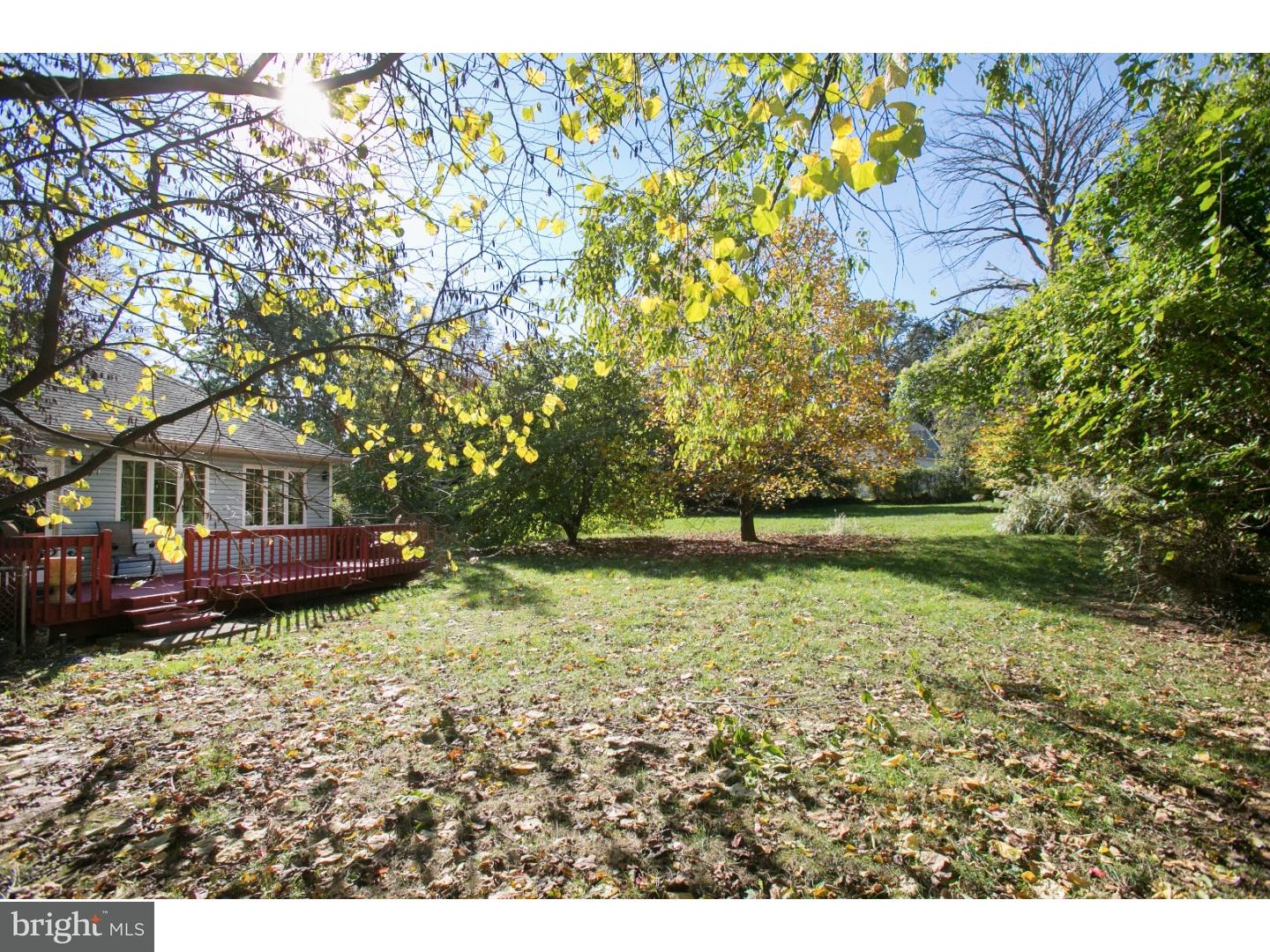 630 Davis Road Cheltenham, PA 19012 - Photo 25 of 25 Back Yard